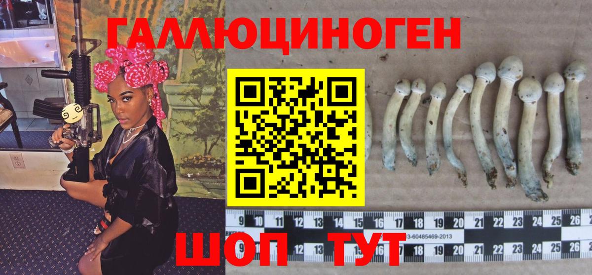 Галлюциногенные грибы Magic Shrooms  Вход с VPN  Заволжье 